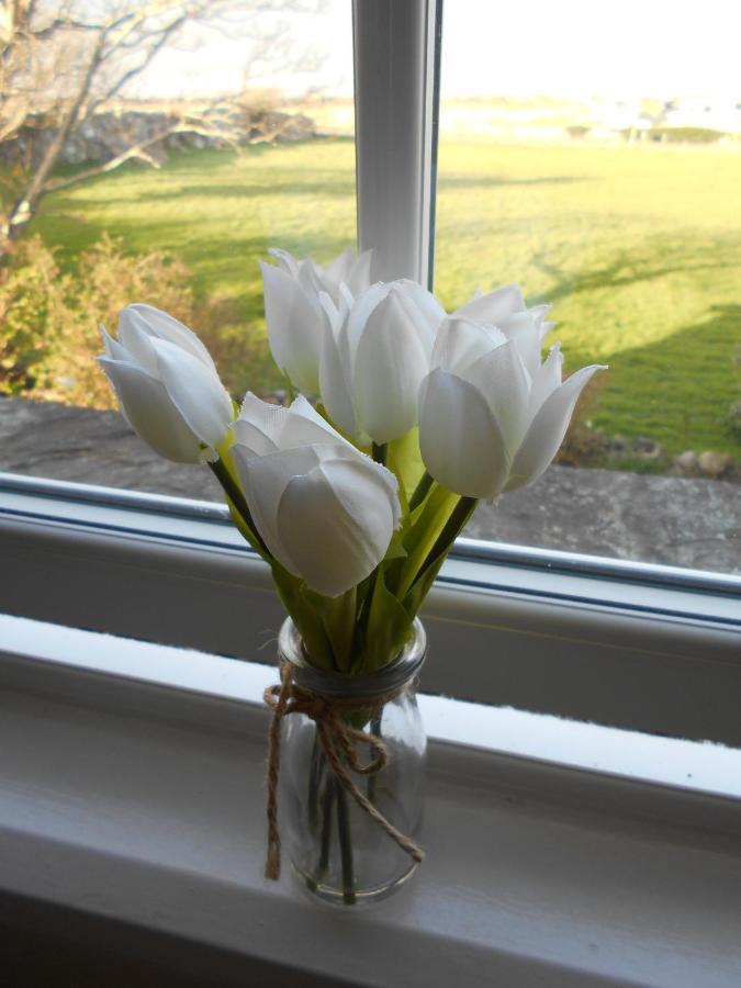 Hendre Clochydd Hall Llanaber Esterno foto